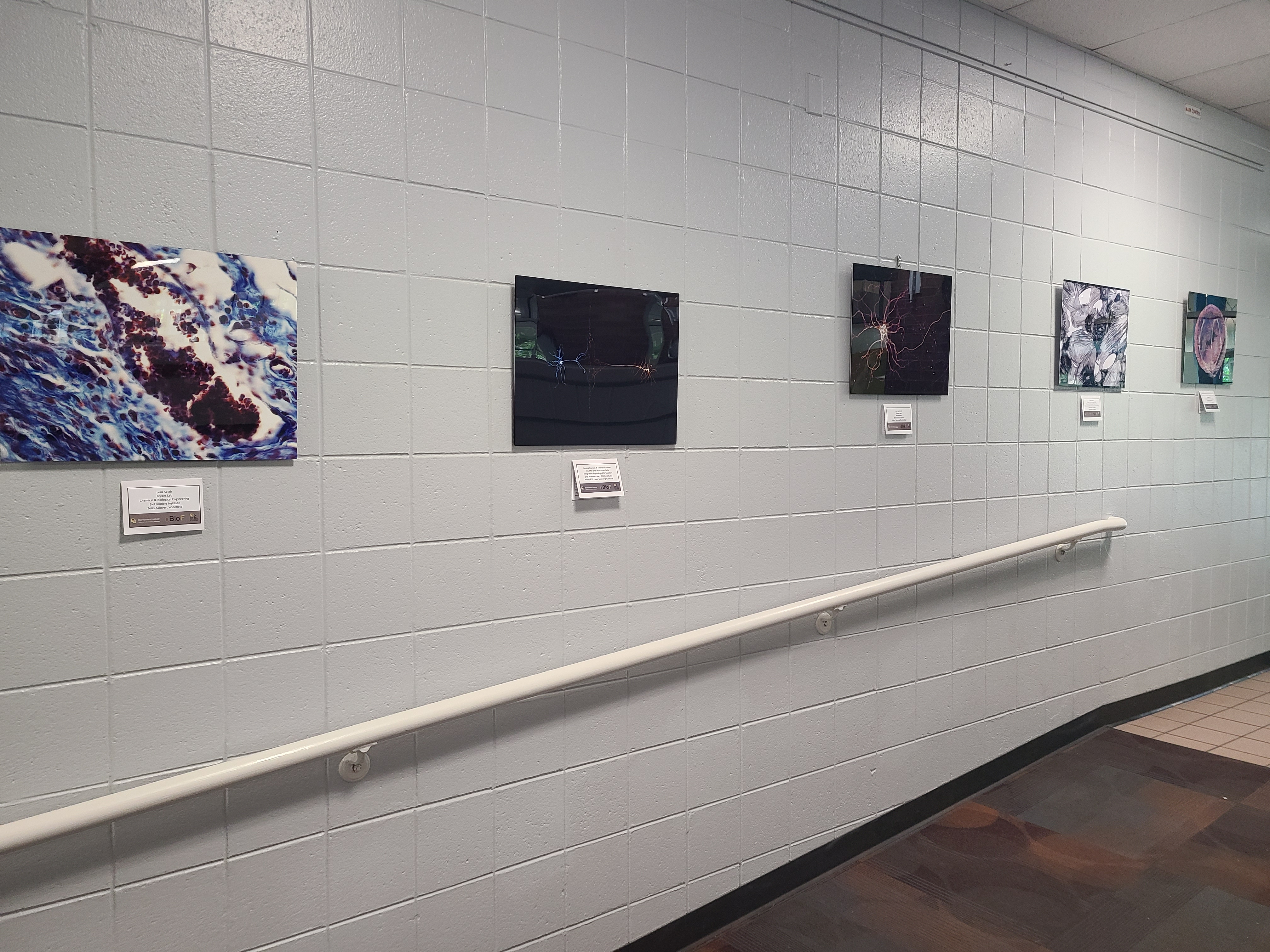 East Boulder Rec Center CU images.