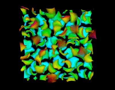 Nabila Tanjeem (Hayward Lab) - Nikon A1R Laser Scanning Confocal. Self-assembly is a nature-inspired bottom-up method of fabricating materials, allowing for careful design of small building-block microparticles and their assembly into large, complex structures. The hydrogel particles shown in this image are deformable and change their curvature in response to pH and temperature, with colors representing the depth of the object. Investigators are trying to design a tunable material assembled from these particles that will change its structure and organization as the curvature of the particles is dynamically tuned using external stimuli.