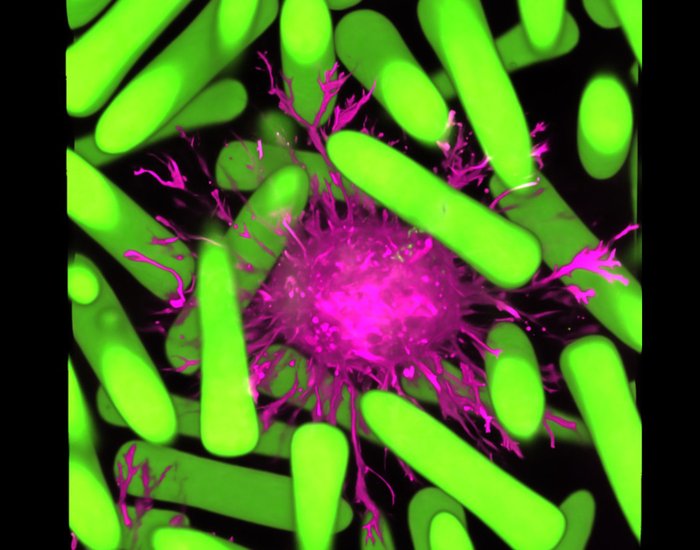 2023 CU Up Close winners