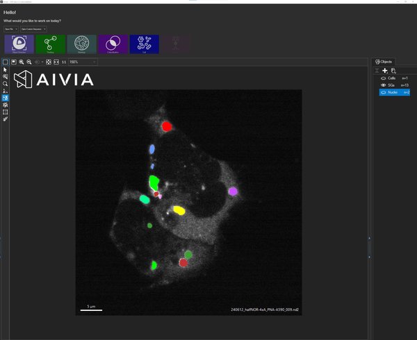 HarmonyAndAivia_SoftwareOverview