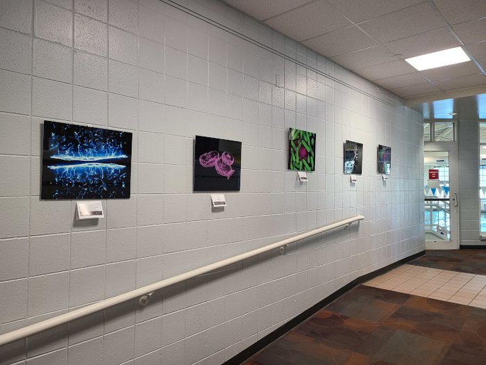 CU Up Close art exhibition