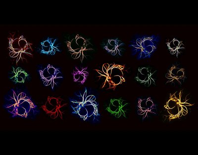 Massimo Buvoli, Chicca Buvoli (Leinwand lab) - Nikon Spinning Disk Confocal. Our muscles are composed of multiple elements, including filaments of myosin, actin and connective tissue. However, it is difficult and complex to study complete structures when researching muscle-affiliated diseases. Therefore, investigators have developed models that are cheaper and easier to handle and examine, such as these modified cells expressing myosin fibers.