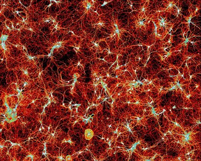 Lynn Sanford (Palmer Lab) - Nikon Spinning Disk Confocal. Neurotransmitters are the essential chemicals and elements that enable proper neuron function and signaling within our brains. The use of chemical- or element-specific dyes allow us to observe the presence and dynamics of the neurotransmitters in real time, providing invaluable insight to the role and mechanisms of our neurons. Here, this bed of neurons has been stained with a zinc-specific dye to report zinc dynamics. Within this image, the white regions indicate greater amounts of the dye, while the red regions show lower amounts.