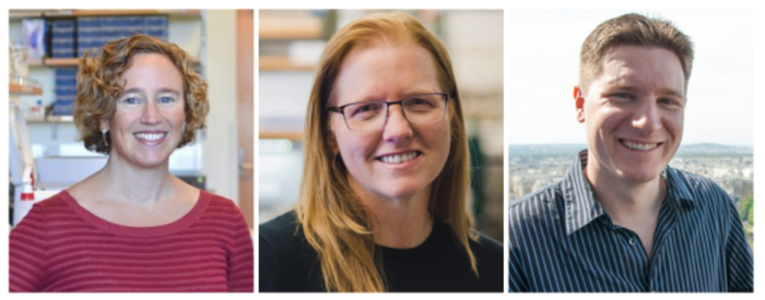 Light sheet microscopy is coming to the BFALMC