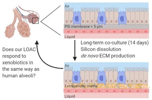 New collaboration with Prof. David Blake at Fort Lewis College
