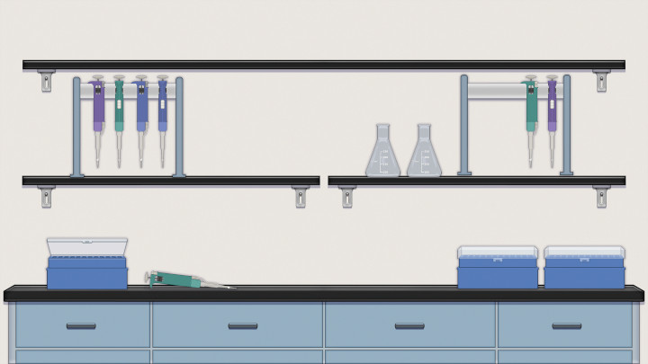Screenshot of ASSETT Virtual Labs' gel electrophoresis simulation.
